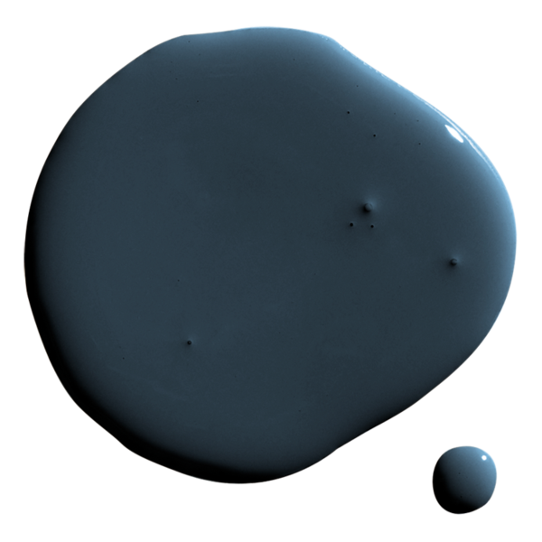 Surfcamp Blob5 Web grid 600x600