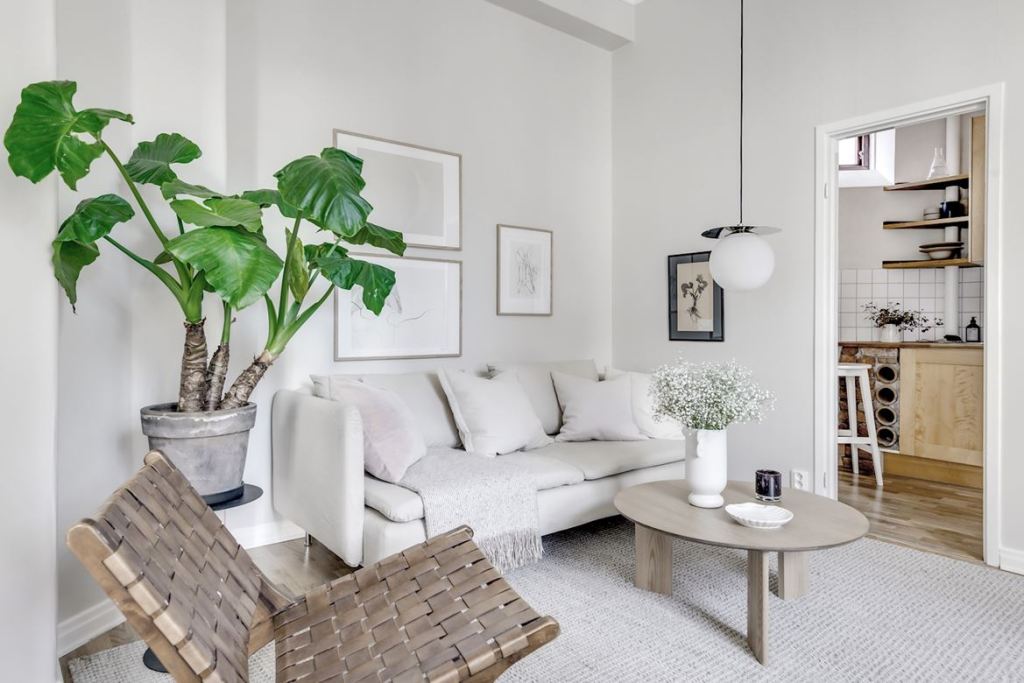 cbild52dk0psbm4a1908e 334203805 rszww1170 80