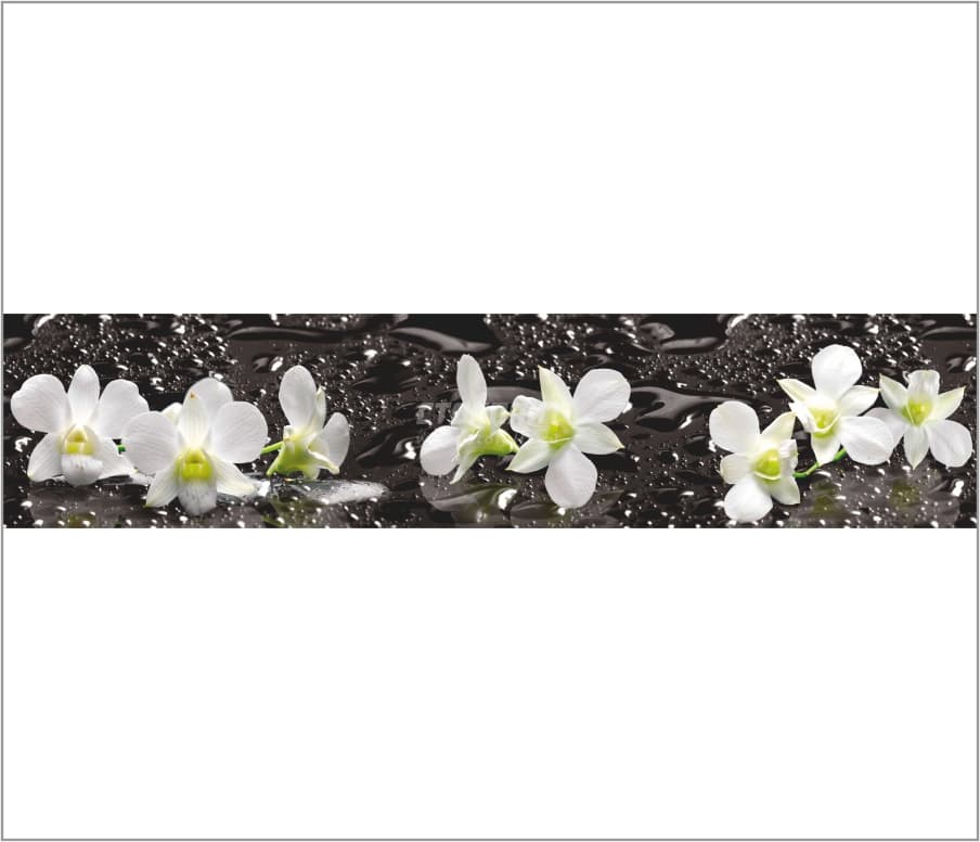Панель ASP 14 2800*610*6 глянец Орхидеи на черном