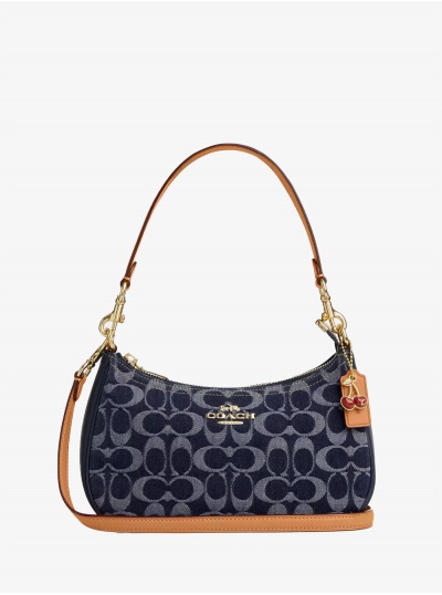 Сумка COACH Teri Crossbody Bag Small