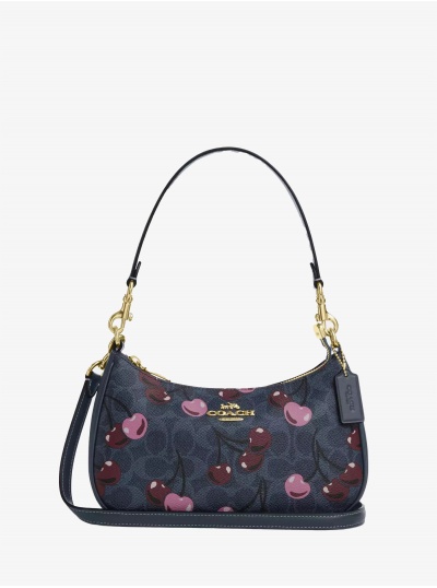 Сумка COACH Teri Crossbody Bag Small