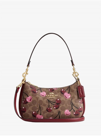 Сумка COACH Teri Crossbody Bag Small