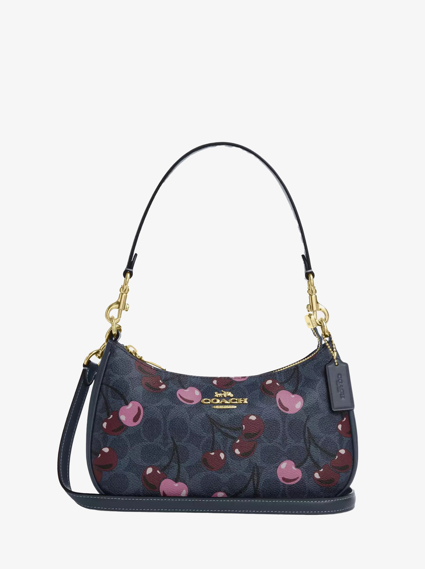 Сумка COACH Teri Crossbody Bag Small