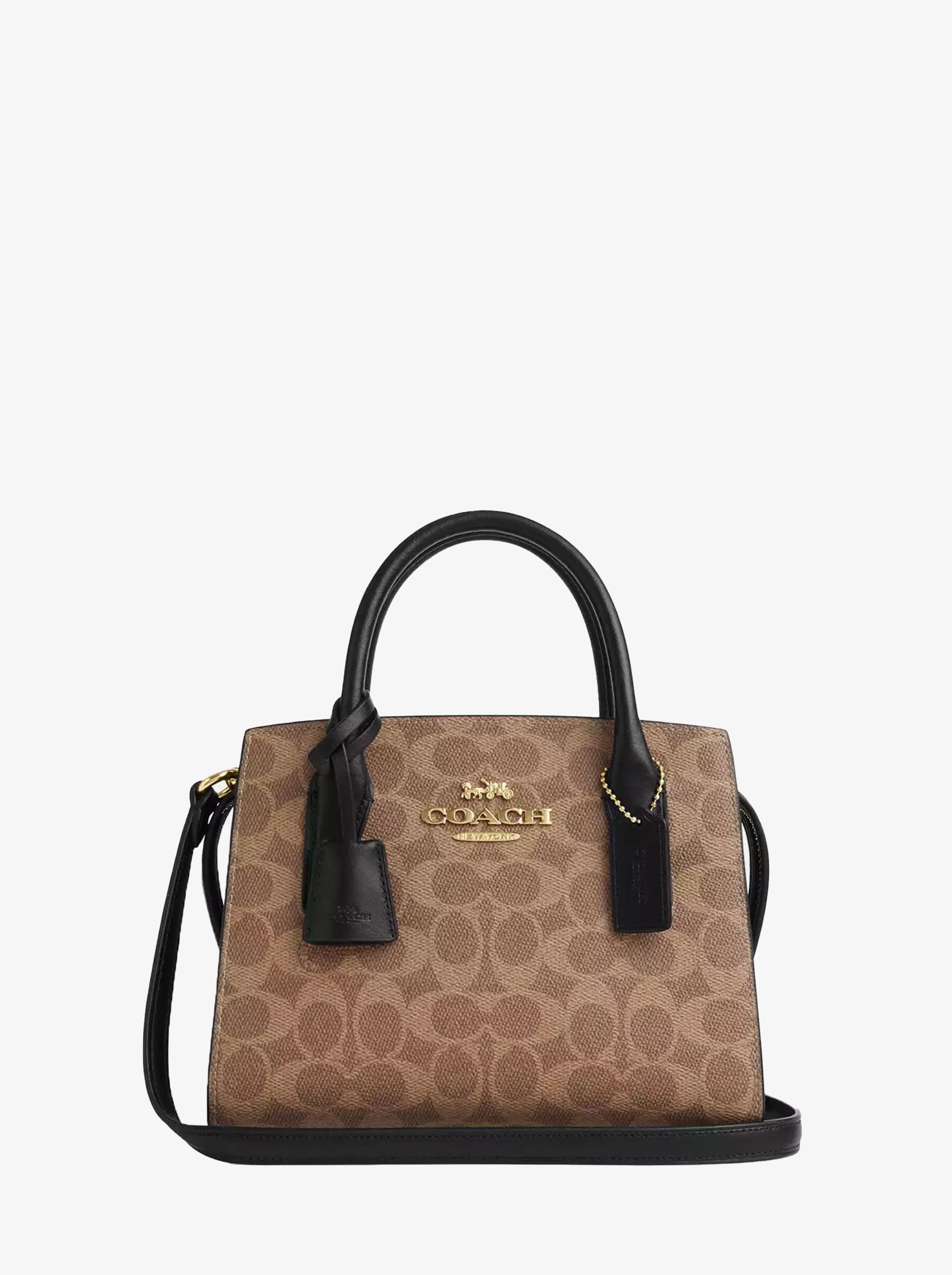 Сумка COACH Andrea Mini Tote Bag Small