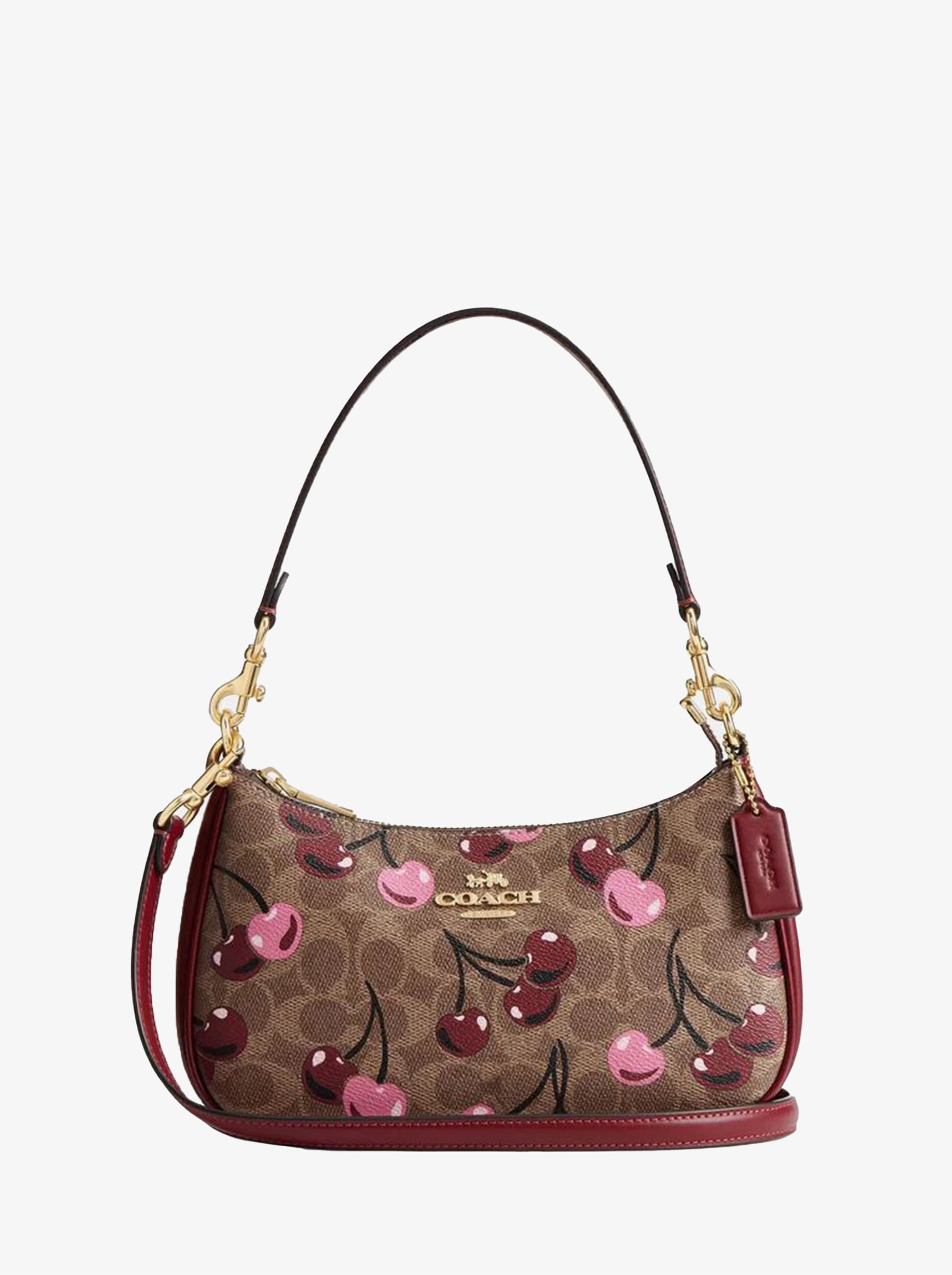 Сумка COACH Teri Crossbody Bag Small