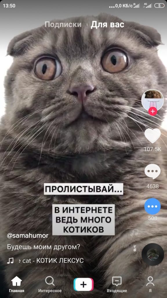 Что снять в тик токе чтобы стать популярным