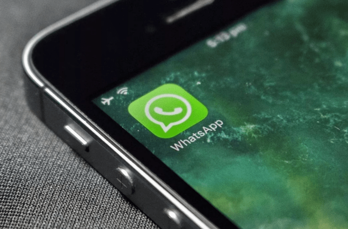 В России могут заблокировать WhatsApp из-за новой функции