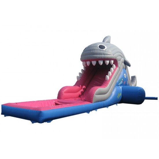 Toboggan Eau Gonflable De Requin