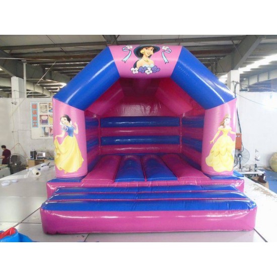 Castillo Inflable De Princesas Disney