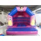 Castillo Inflable De Princesas Disney