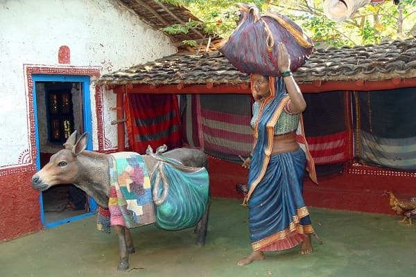 ANTHROPOLOGY, ETHNOLOGY, AND HUMAN ADAPTATION
