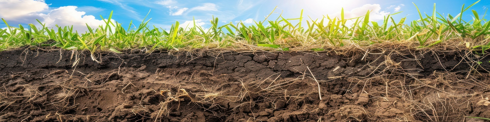 Soil Science, Conservation, and Land Restoration