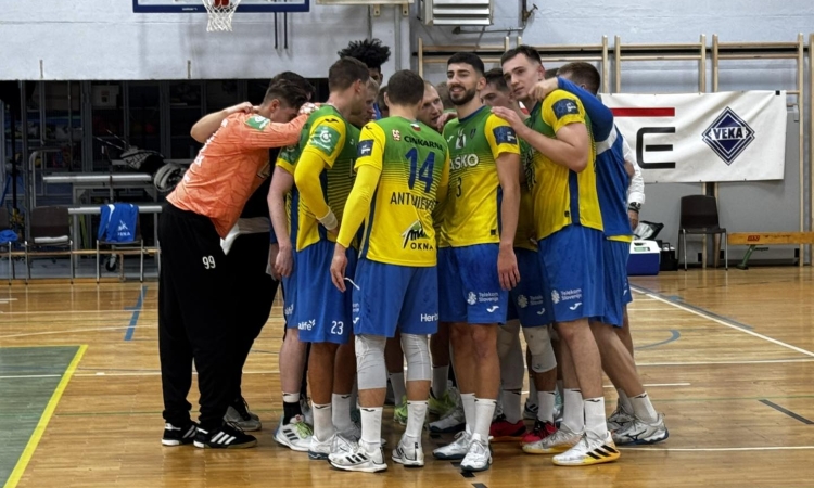 Krka - Celje Pivovarna Laško 30:31