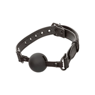 Nocturnal Collection Ball Gag