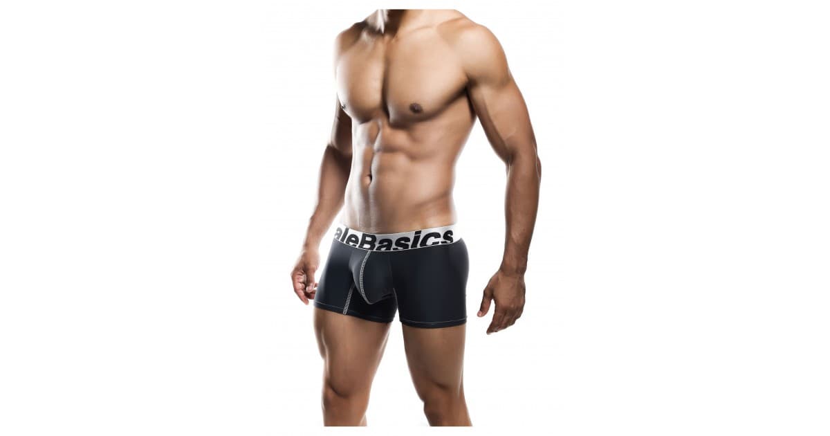 tanga perizomi boxer-MaleBasics Microfiber Boxer-LaChatte.it