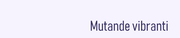 mutande vibranti