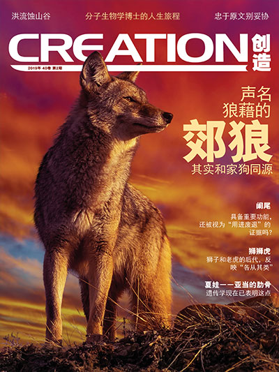 《创造》杂志第40卷-第2期