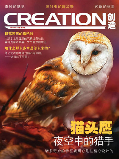 《创造》杂志42卷第3期