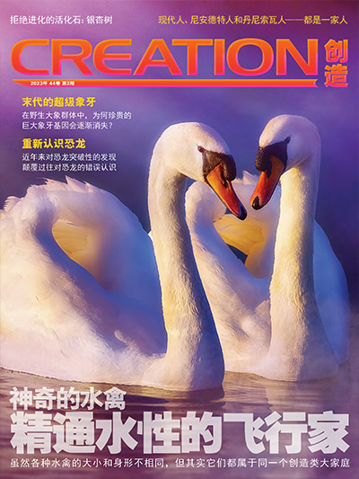 《创造》杂志44卷第2期