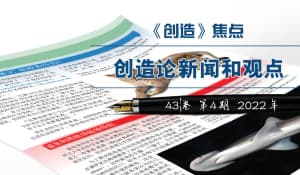 《焦点》—创造论新闻和观点