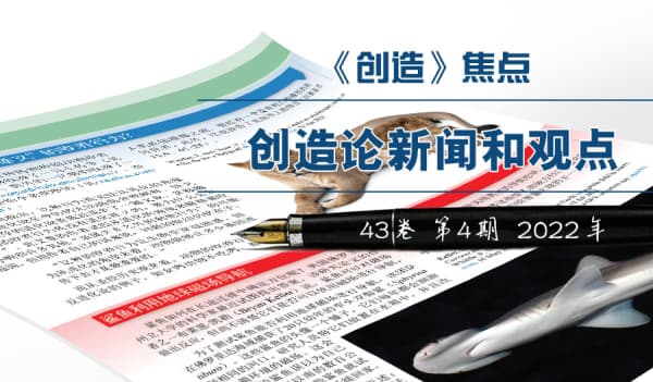 《焦点》—创造论新闻和观点