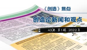 《创造》焦点
