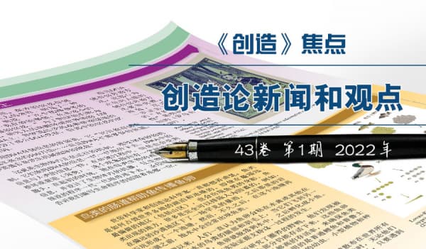 《创造》焦点