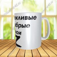 Фотокружка ВЕЖЛИВЫЕ ДОБРЫЕ СВОИ 3