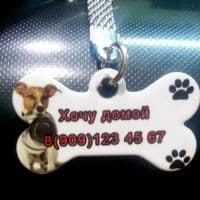 Брелок Косточка для домашних животных