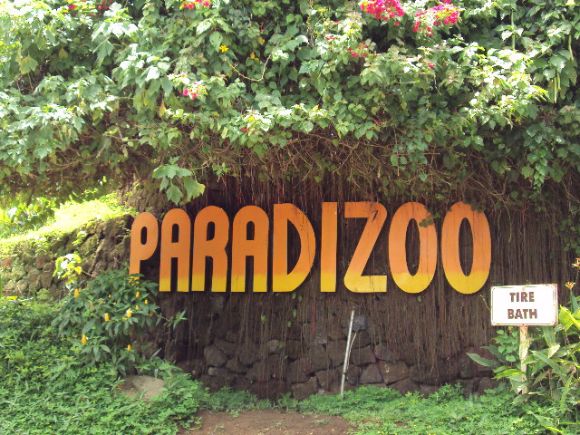 paradizoo-42