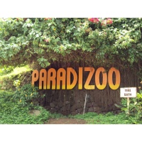 paradizoo-42