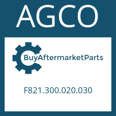 F821.300.020.030 AGCO Part