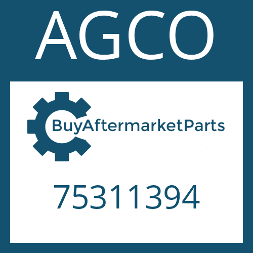 75311394 AGCO Part