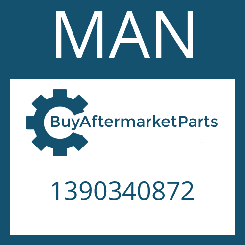 1390340872 MAN Part