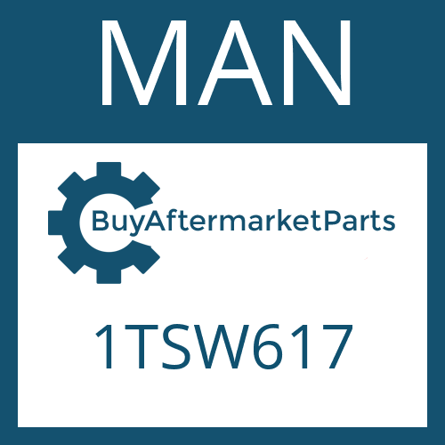 1TSW617 MAN Part