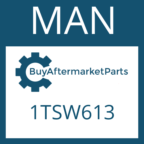 1TSW613 MAN Part