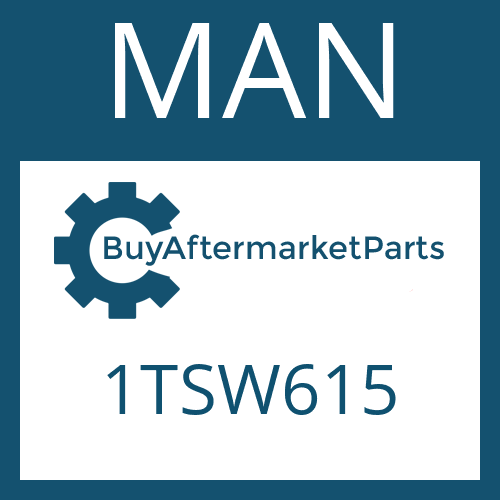 1TSW615 MAN Part