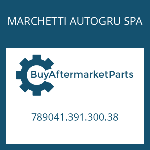 789041.391.300.38 MARCHETTI AUTOGRU SPA CONNECTION