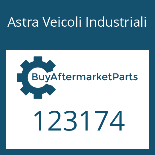 123174 Astra Veicoli Industriali SYNCHRO.RING