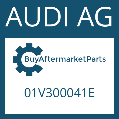 01V300041E AUDI AG 5 HP 19 FL