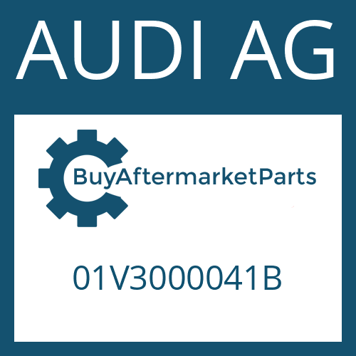 01V3000041B AUDI AG 5 HP 19 FL