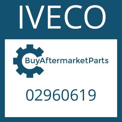 02960619 IVECO RETAINING RING