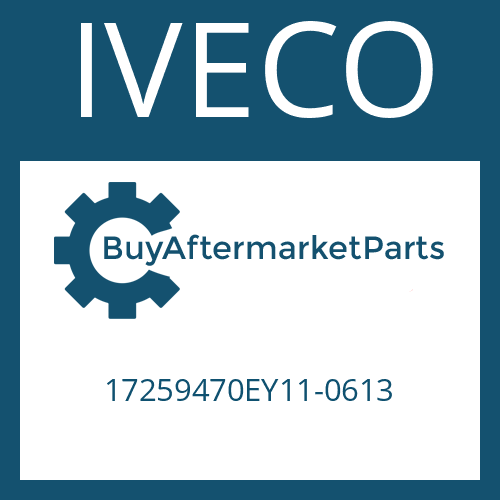 17259470EY11-0613 IVECO SLOTTED PIN
