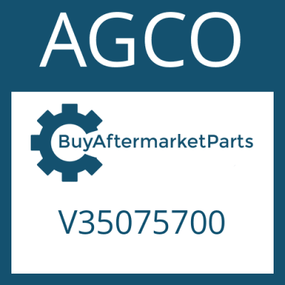 V35075700 AGCO RING