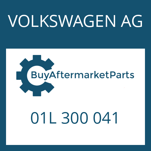 01L 300 041 VOLKSWAGEN AG 5 HP 24 A