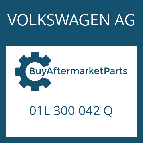 01L 300 042 Q VOLKSWAGEN AG 5 HP 24 A