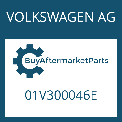 01V300046E VOLKSWAGEN AG 5 HP 19 FL