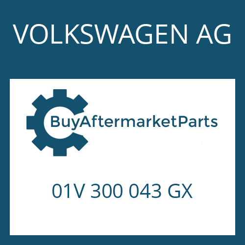 01V 300 043 GX VOLKSWAGEN AG 5 HP 19 FLA