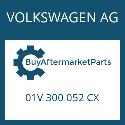 01V 300 052 CX VOLKSWAGEN AG 5 HP 19 FLA