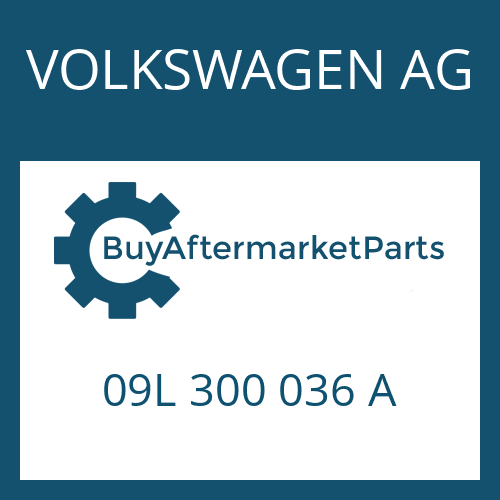 09L 300 036 A VOLKSWAGEN AG 6 HP 19 A SW